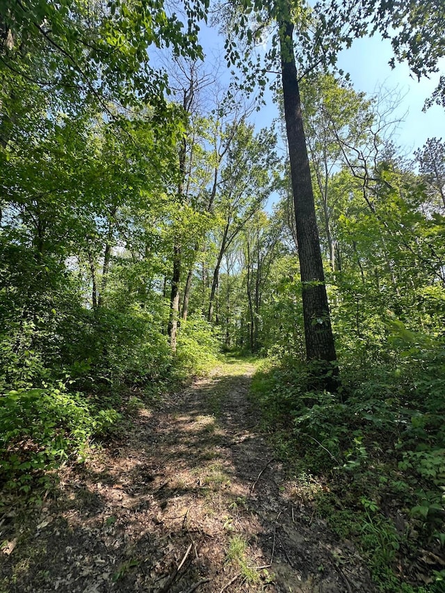 58505 N Branch Rd, South Bloomingville, OH 43152