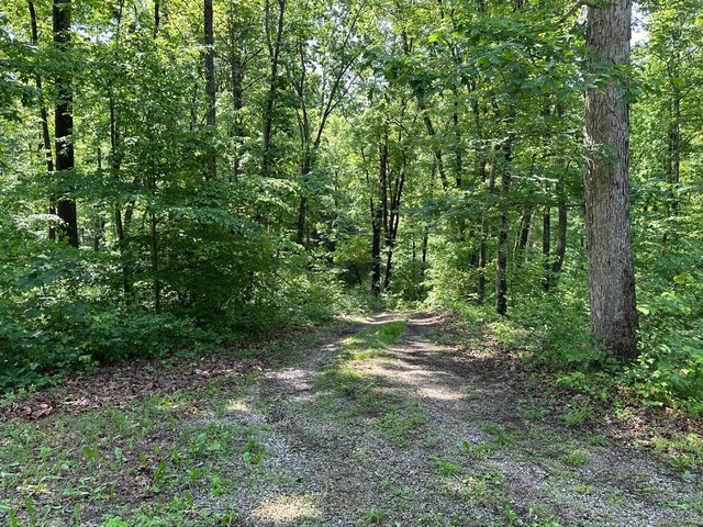 58505 N Branch Rd, South Bloomingville, OH 43152