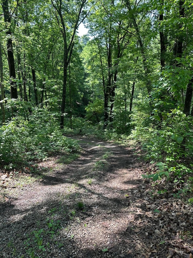 58505 N Branch Rd, South Bloomingville, OH 43152