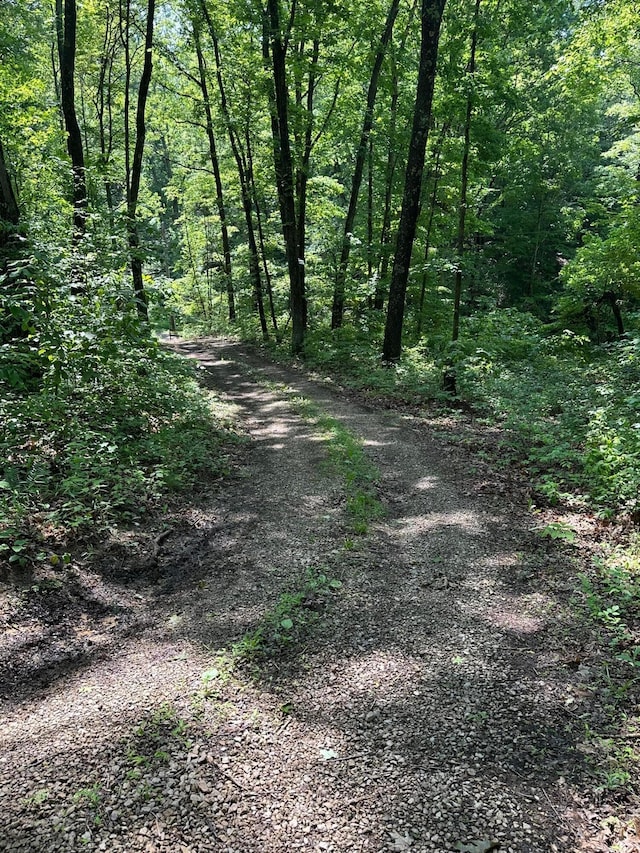 58505 N Branch Rd, South Bloomingville, OH 43152