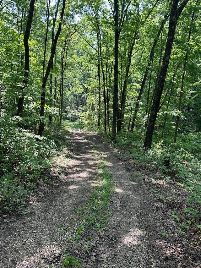 58505 N Branch Rd, South Bloomingville, OH 43152