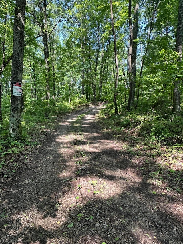 58505 N Branch Rd, South Bloomingville, OH 43152