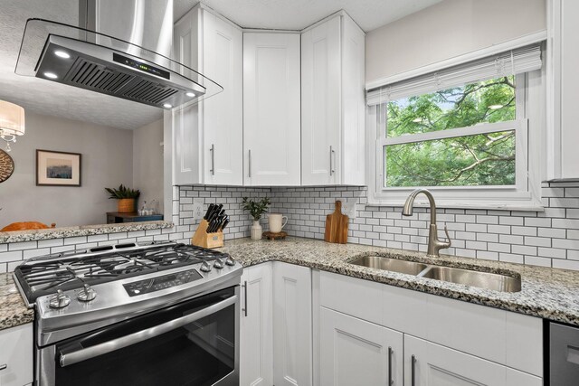 3567 Rochfort Bridge Dr, Columbus, OH 43221 - kitchen with stainless steel appliances, a sink, exhaust hood, white cabinetry, and backsplash
