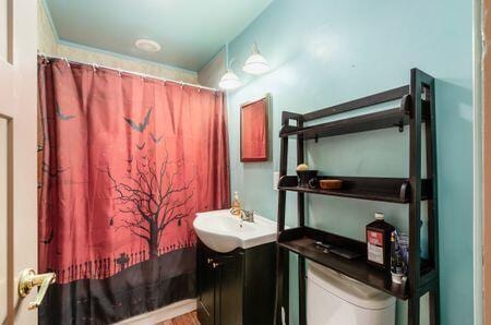 7050 Motts Place Rd, Canal Winchester, OH 43110 - full bath featuring vanity, toilet, and curtained shower