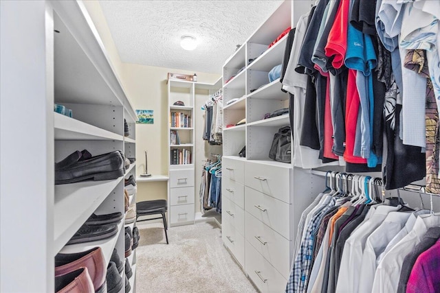 1205 Holton Rd, Grove City, OH 43123 - walk in closet featuring carpet