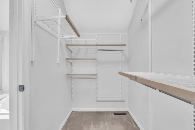 9302 Pimlico Pl, Pickerington, OH 43147 - spacious closet featuring carpet