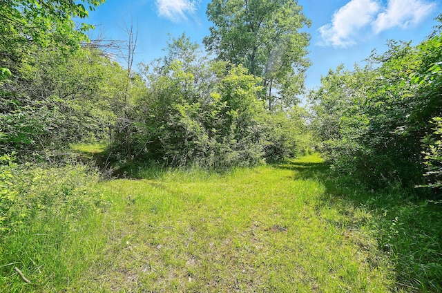 0 Yankeetown Pike, Mount Sterling, OH 43143