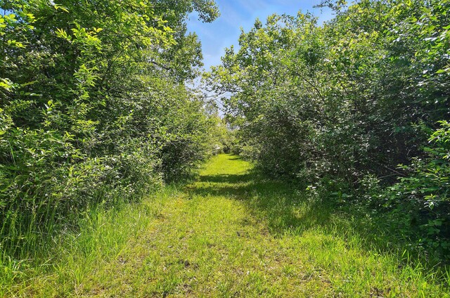 0 Yankeetown Pike, Mount Sterling, OH 43143