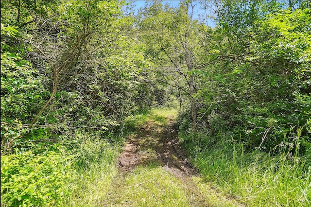 0 Yankeetown Pike, Mount Sterling, OH 43143
