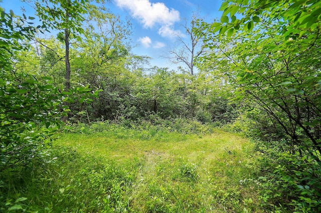 0 Yankeetown Pike, Mount Sterling, OH 43143