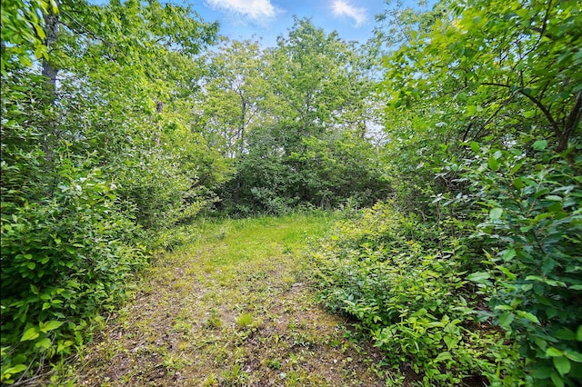 0 Yankeetown Pike, Mount Sterling, OH 43143
