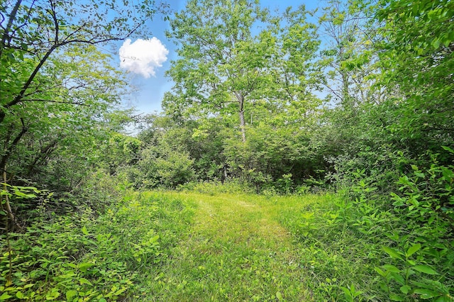 0 Yankeetown Pike, Mount Sterling, OH 43143