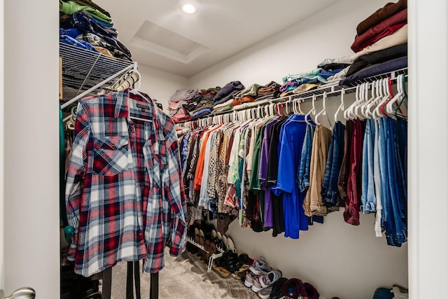 99 Hutchison St, South Bloomfield, OH 43103 - walk in closet with attic access and carpet