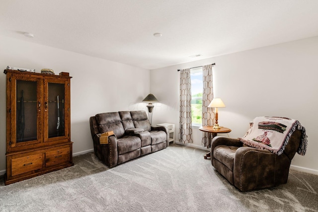99 Hutchison St, South Bloomfield, OH 43103 - living area featuring carpet floors and baseboards