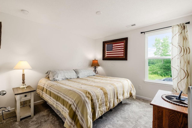 99 Hutchison St, South Bloomfield, OH 43103 - bedroom with carpet and multiple windows