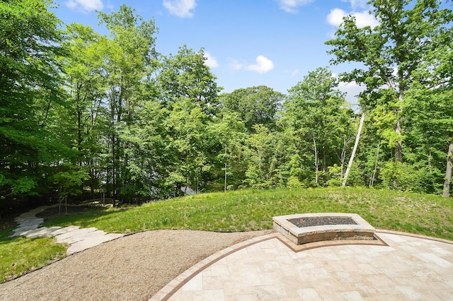 5633 Travis Pointe Ct, Westerville, OH 43082 - view of patio