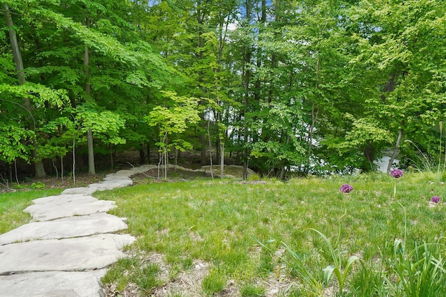 5633 Travis Pointe Ct, Westerville, OH 43082 - view of yard