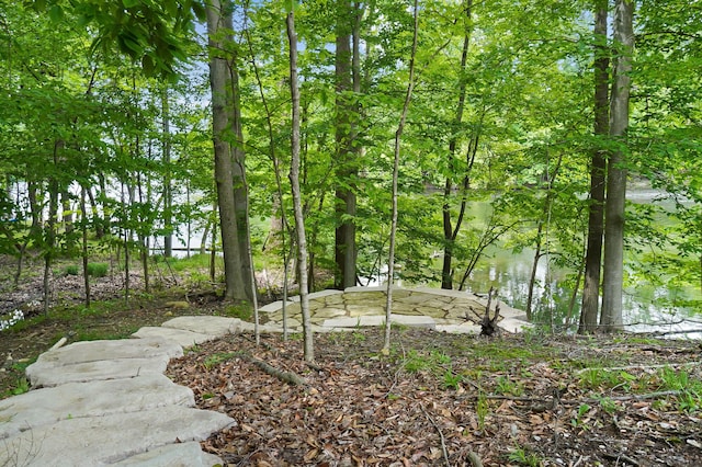 5633 Travis Pointe Ct, Westerville, OH 43082 - view of yard