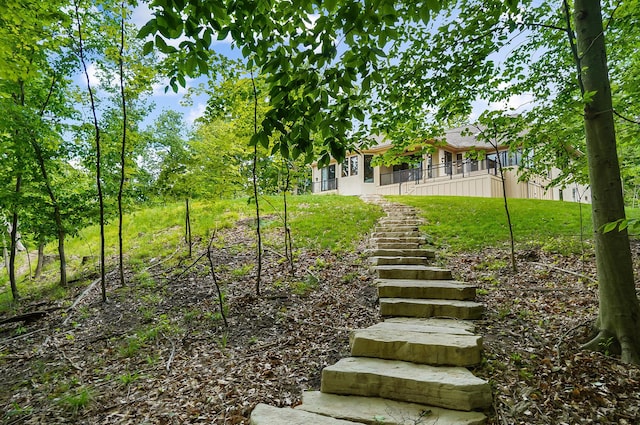 5633 Travis Pointe Ct, Westerville, OH 43082 - view of grassy yard with stairs