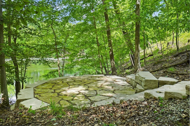 5633 Travis Pointe Ct, Westerville, OH 43082 - view of yard with a water view