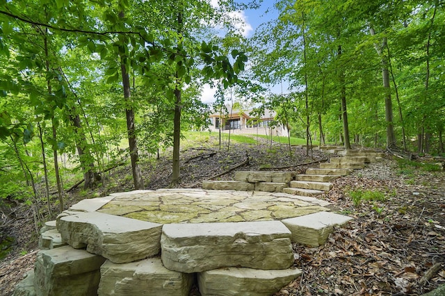 5633 Travis Pointe Ct, Westerville, OH 43082 - view of yard with stairs