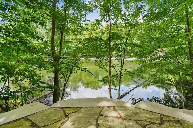 5633 Travis Pointe Ct, Westerville, OH 43082 - water view