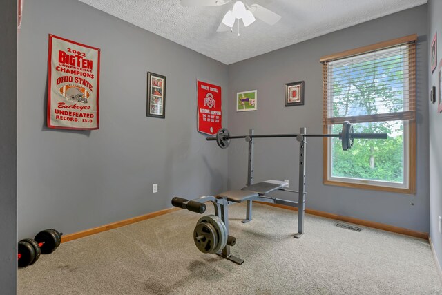 5035 Dietrich Ave, Orient, OH 43146 - exercise room featuring carpet flooring, baseboards, a textured ceiling, and ceiling fan