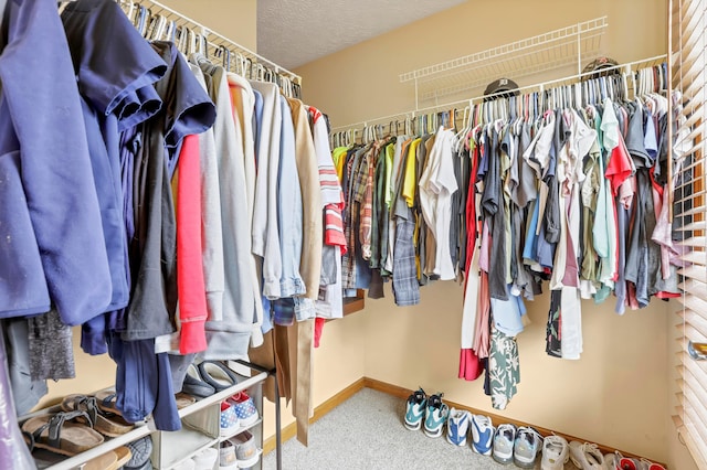 5035 Dietrich Ave, Orient, OH 43146 - walk in closet featuring carpet floors