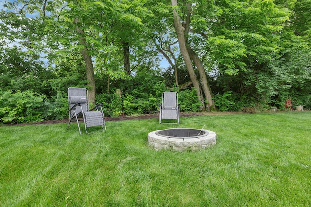 5035 Dietrich Ave, Orient, OH 43146 - view of grassy yard featuring a fire pit
