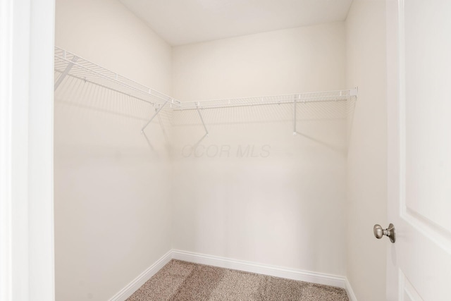 7014 Aster Way, Plain City, OH 43064 - walk in closet with carpet