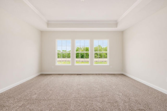 7014 Aster Way, Plain City, OH 43064 - carpeted empty room featuring ornamental molding, a raised ceiling, and baseboards