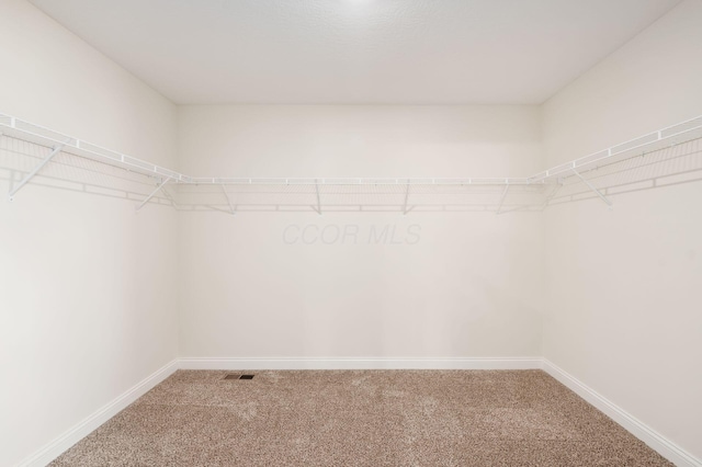 7014 Aster Way, Plain City, OH 43064 - spacious closet with carpet floors