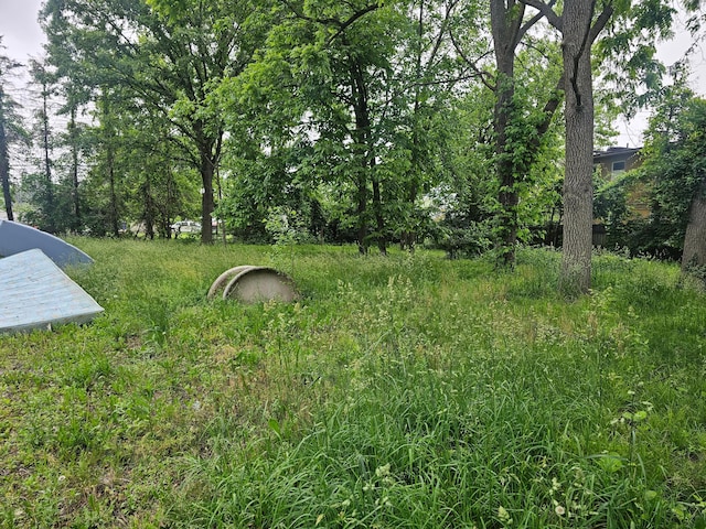 2886 E 6th Ave, Columbus, OH 43219 - view of yard