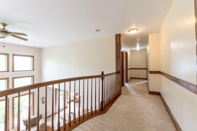 5103 Johnstown Alexandria Rd, Johnstown, OH 43031 - hall with light carpet and baseboards