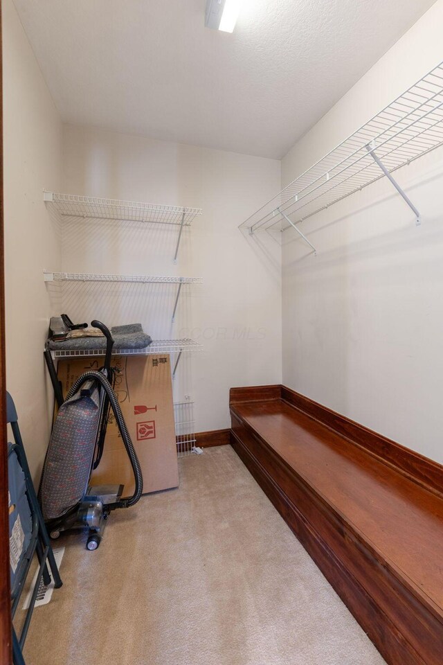 5103 Johnstown Alexandria Rd, Johnstown, OH 43031 - walk in closet with carpet flooring