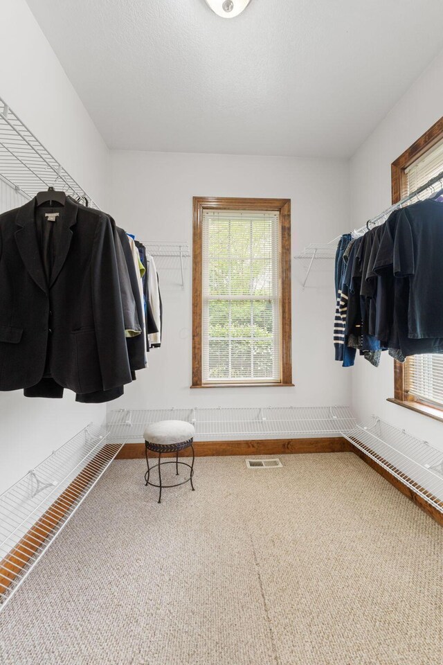 5103 Johnstown Alexandria Rd, Johnstown, OH 43031 - spacious closet featuring carpet flooring
