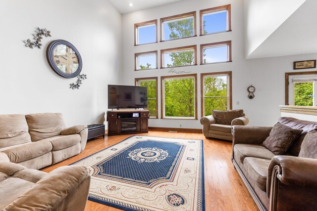 5103 Johnstown Alexandria Rd, Johnstown, OH 43031 - living area with a towering ceiling and light wood-style flooring