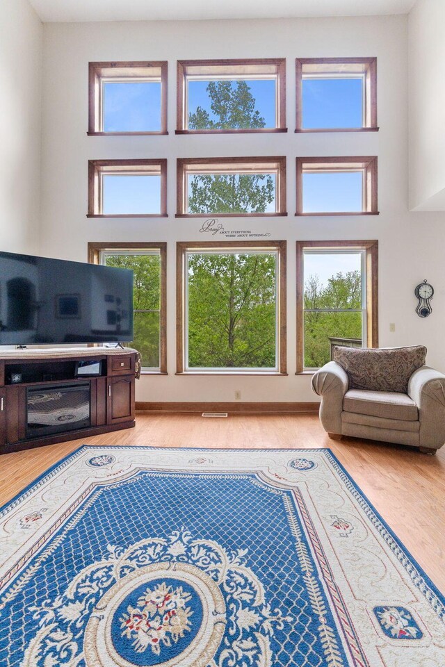 5103 Johnstown Alexandria Rd, Johnstown, OH 43031 - living area with wood finished floors, a high ceiling, and healthy amount of natural light