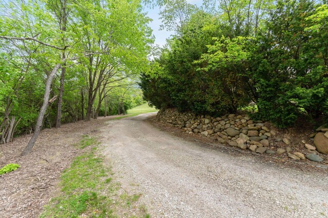 5103 Johnstown Alexandria Rd, Johnstown, OH 43031 - view of dirt / gravel road