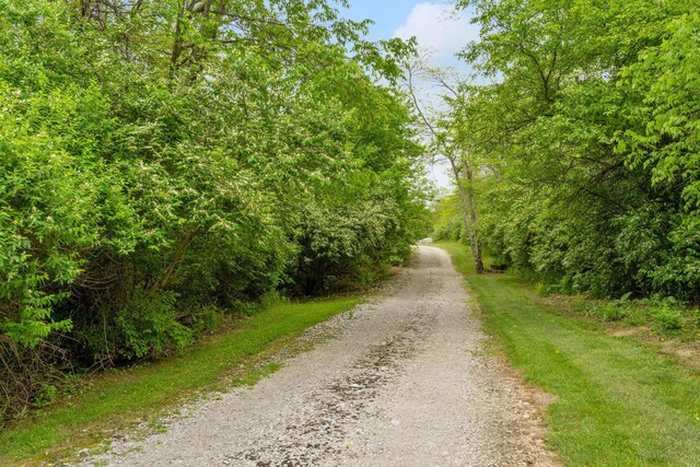 5103 Johnstown Alexandria Rd, Johnstown, OH 43031 - view of road featuring a view of trees