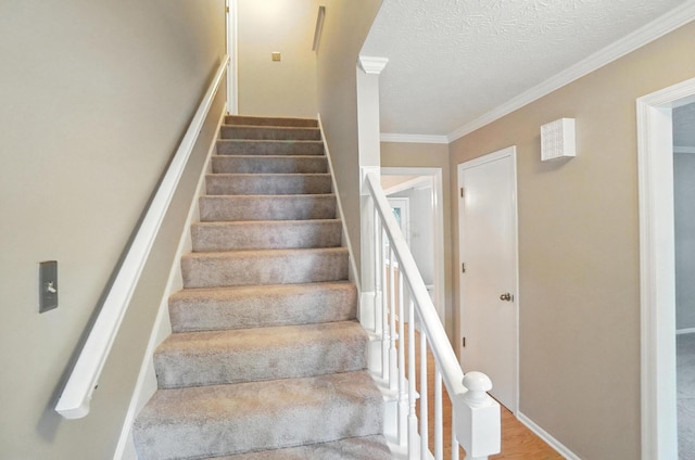 2517 Slateshire Dr, Dublin, OH 43016 - photo 25
