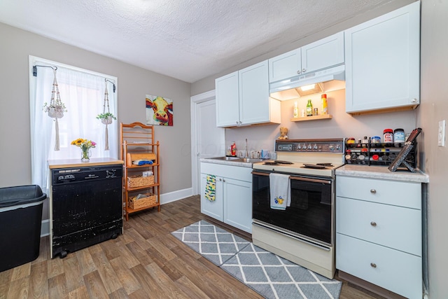 236 Ruth Ave, Mansfield, OH 44907 - kitchen featuring white range with electric cooktop, wood finished floors, a sink, light countertops, and a textured ceiling