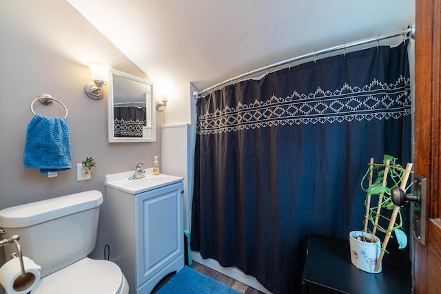 236 Ruth Ave, Mansfield, OH 44907 - bathroom featuring toilet, vanity, vaulted ceiling, and a shower with shower curtain