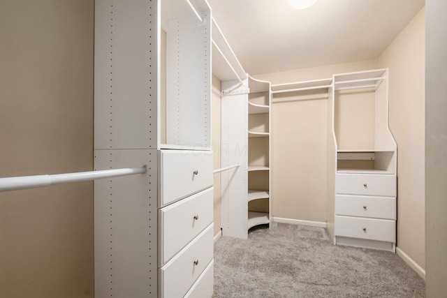 7985 Eric Ct, Lewis Center, OH 43035 - walk in closet featuring carpet floors