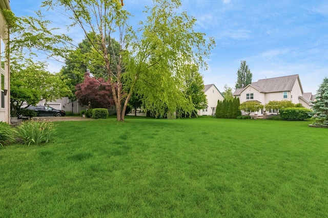 7985 Eric Ct, Lewis Center, OH 43035 - view of grassy yard