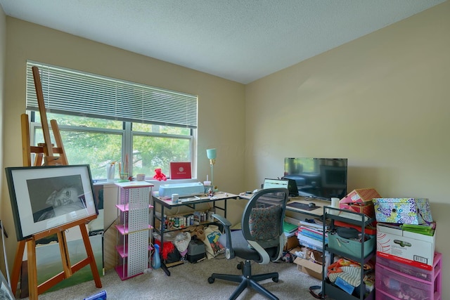 7581-7583 Pickett Ln Unit 83, Columbus, OH 43235 - office featuring carpet floors and a textured ceiling