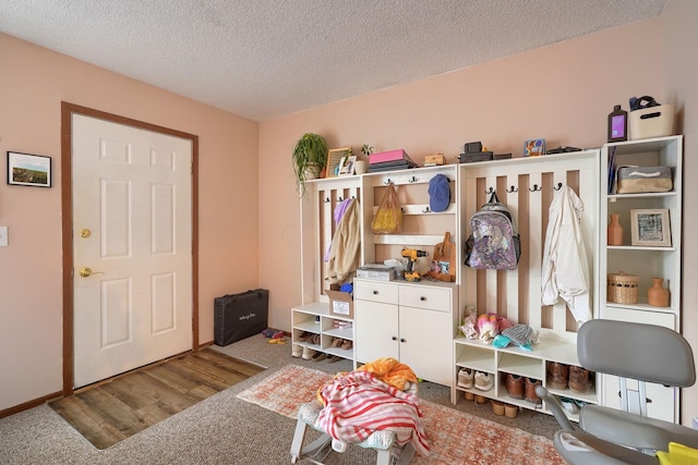 7581-7583 Pickett Ln Unit 83, Columbus, OH 43235 - mudroom featuring carpet flooring, a textured ceiling, and baseboards