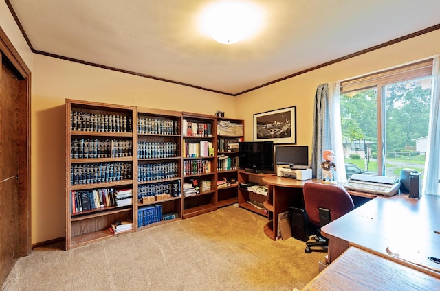 1027 Peggys Cv, Reynoldsburg, OH 43068 - carpeted office with ornamental molding