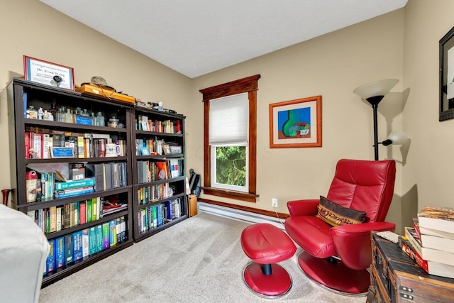 540 Linwood Ave, Columbus, OH 43205 - sitting room featuring a baseboard heating unit, carpet flooring, and baseboards