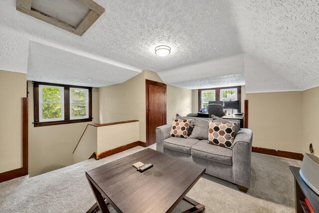 540 Linwood Ave, Columbus, OH 43205 - living area featuring carpet floors, baseboards, a textured ceiling, attic access, and vaulted ceiling